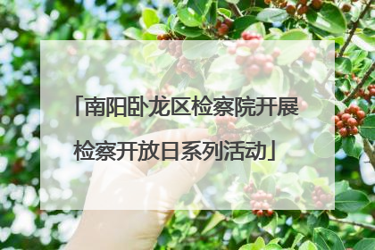 南阳卧龙区检察院开展检察开放日系列活动