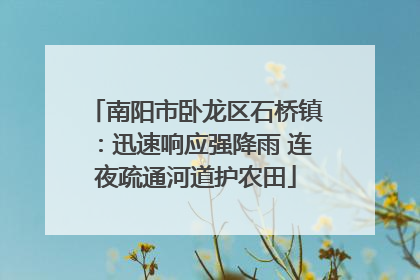 南阳市卧龙区石桥镇：迅速响应强降雨 连夜疏通河道护农田