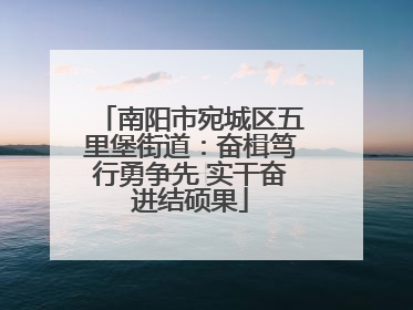 南阳市宛城区五里堡街道：奋楫笃行勇争先 实干奋进结硕果