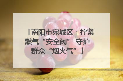 南阳市宛城区：拧紧燃气“安全阀” 守护群众“烟火气”
