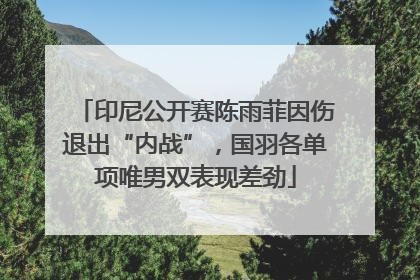 印尼公开赛陈雨菲因伤退出“内战”，国羽各单项唯男双表现差劲