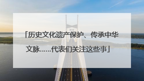 历史文化遗产保护、传承中华文脉……代表们关注这些事