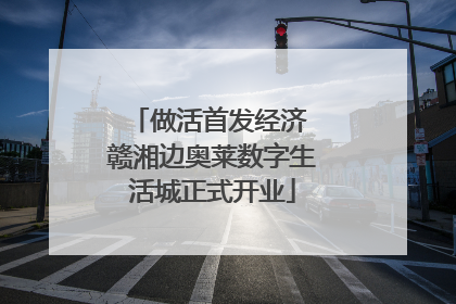 做活首发经济 赣湘边奥莱数字生活城正式开业