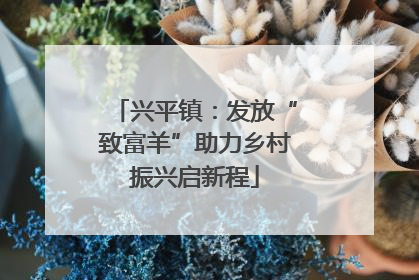 兴平镇：发放“致富羊”助力乡村振兴启新程