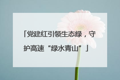 党建红引领生态绿，守护高速“绿水青山”
