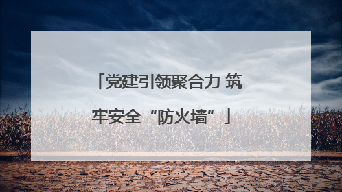 党建引领聚合力 筑牢安全“防火墙”