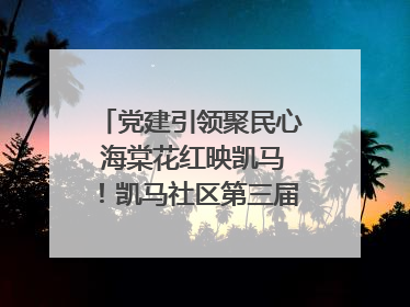 党建引领聚民心 海棠花红映凯马！凯马社区第三届邻里生活节谱写幸福新篇章