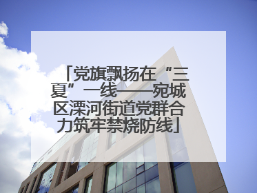 党旗飘扬在“三夏”一线——宛城区溧河街道党群合力筑牢禁烧防线