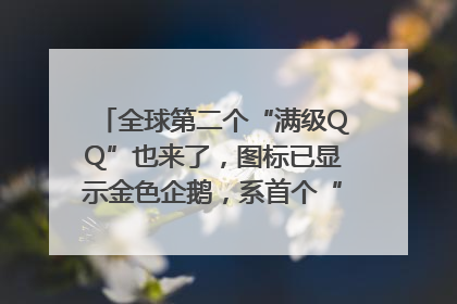 全球第二个“满级QQ”也来了，图标已显示金色企鹅，系首个“满级QQ”的小号