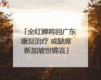 全红婵将回广东康复治疗 或缺席新加坡世锦赛