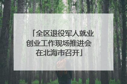 全区退役军人就业创业工作现场推进会在北海市召开