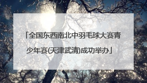 全国东西南北中羽毛球大赛青少年赛(天津武清)成功举办