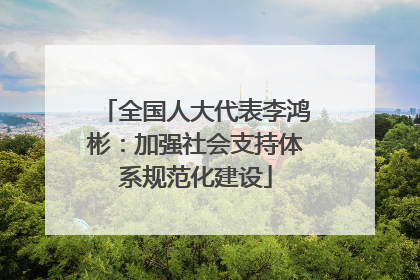全国人大代表李鸿彬：加强社会支持体系规范化建设
