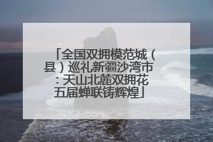 全国双拥模范城（县）巡礼新疆沙湾市：天山北麓双拥花 五届蝉联铸辉煌