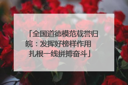 全国道德模范载誉归皖：发挥好榜样作用 扎根一线拼搏奋斗