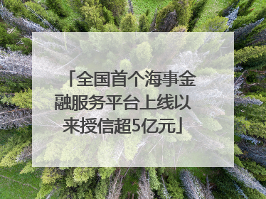全国首个海事金融服务平台上线以来授信超5亿元