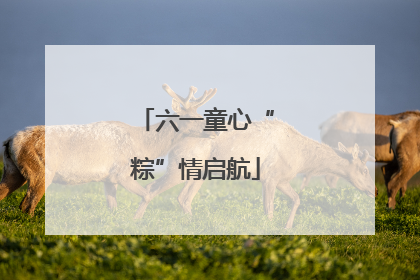 六一童心“粽”情启航