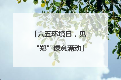 六五环境日，见“郑”绿意涌动