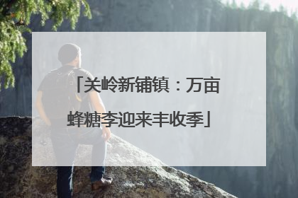 关岭新铺镇：万亩蜂糖李迎来丰收季