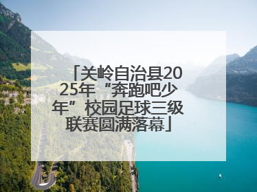关岭自治县2025年“奔跑吧少年”校园足球三级联赛圆满落幕