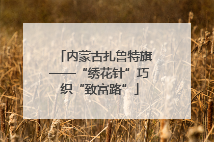 内蒙古扎鲁特旗——“绣花针”巧织“致富路”