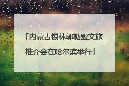 内蒙古锡林郭勒盟文旅推介会在哈尔滨举行