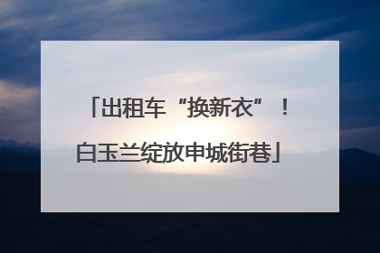 出租车“换新衣”！白玉兰绽放申城街巷