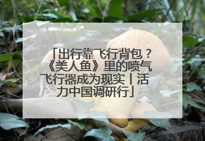 出行靠飞行背包？《美人鱼》里的喷气飞行器成为现实丨活力中国调研行