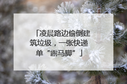 凌晨路边偷倒建筑垃圾，一张快递单“露马脚”