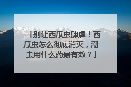 别让西瓜虫肆虐！西瓜虫怎么彻底消灭，潮虫用什么药最有效？