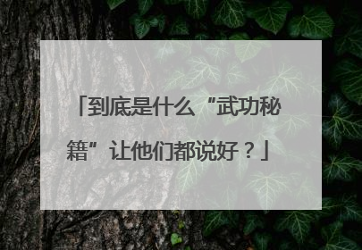 到底是什么“武功秘籍”让他们都说好？