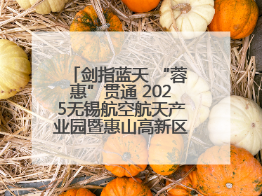 剑指蓝天 “蓉惠”贯通 2025无锡航空航天产业园暨惠山高新区投资环境推介会在成都举行