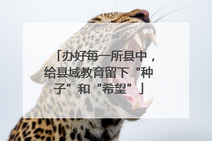 办好每一所县中，给县域教育留下“种子”和“希望”