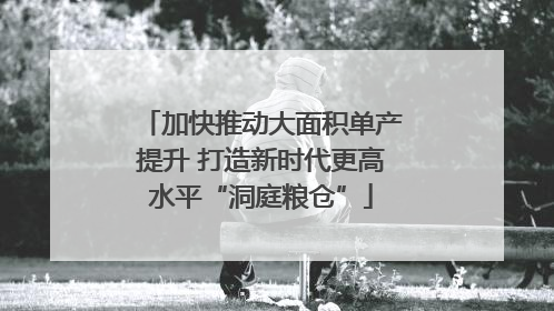 加快推动大面积单产提升 打造新时代更高水平“洞庭粮仓”