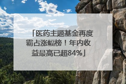 医药主题基金再度霸占涨幅榜！年内收益最高已超84%