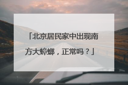 北京居民家中出现南方大蟑螂，正常吗？