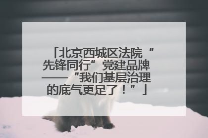 北京西城区法院“先锋同行”党建品牌——“我们基层治理的底气更足了！”