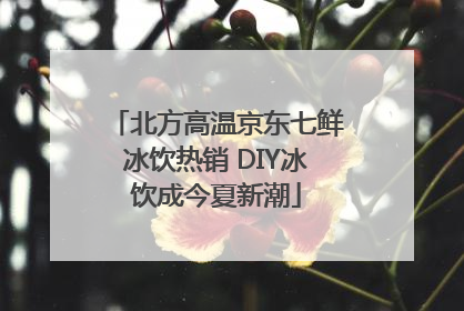 北方高温京东七鲜冰饮热销 DIY冰饮成今夏新潮