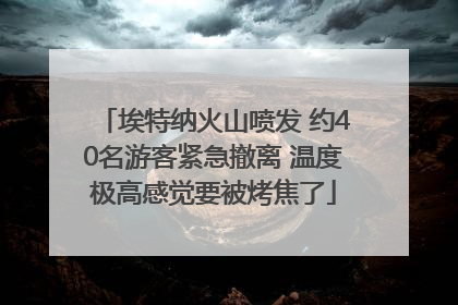 埃特纳火山喷发 约40名游客紧急撤离 温度极高感觉要被烤焦了