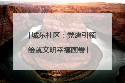 城东社区：党建引领绘就文明幸福画卷