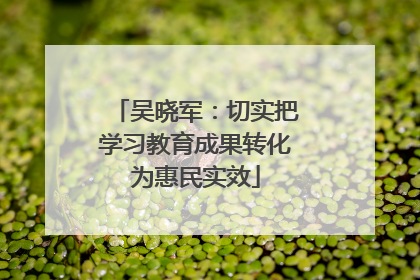 吴晓军：切实把学习教育成果转化为惠民实效