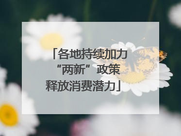 各地持续加力“两新”政策 释放消费潜力