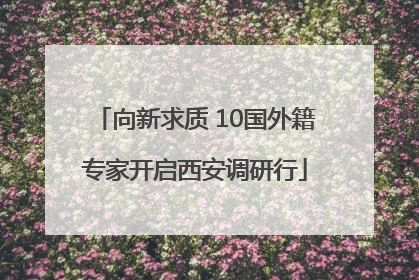 向新求质 10国外籍专家开启西安调研行