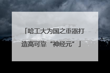哈工大为国之重器打造高可靠“神经元”