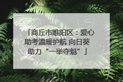 商丘市睢阳区：爱心助考温暖护航 向日葵助力“一举夺魁”