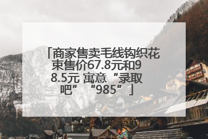 商家售卖毛线钩织花束售价67.8元和98.5元 寓意“录取吧”“985”
