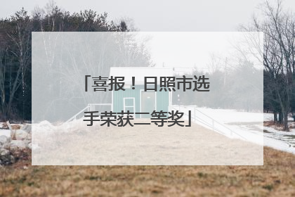 喜报！日照市选手荣获二等奖