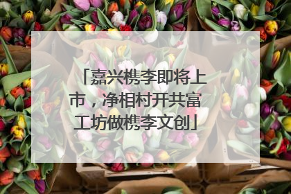 嘉兴槜李即将上市，净相村开共富工坊做槜李文创