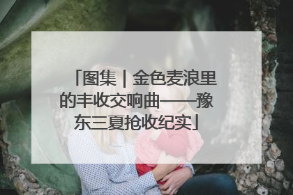 图集｜金色麦浪里的丰收交响曲——豫东三夏抢收纪实