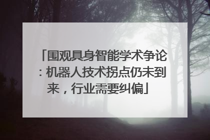 围观具身智能学术争论：机器人技术拐点仍未到来，行业需要纠偏